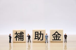 蓄電池、太陽光発電の補助金説明トップイメージ